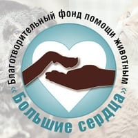 Фонд большие сердца логотип